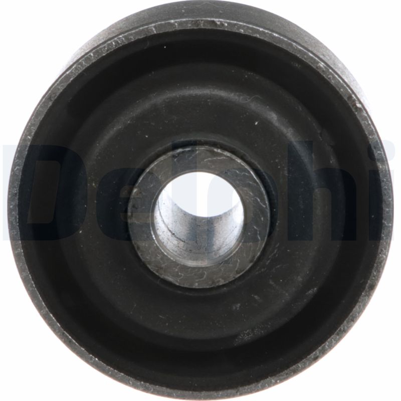Delphi Diesel Draagarmrubber TD5569W