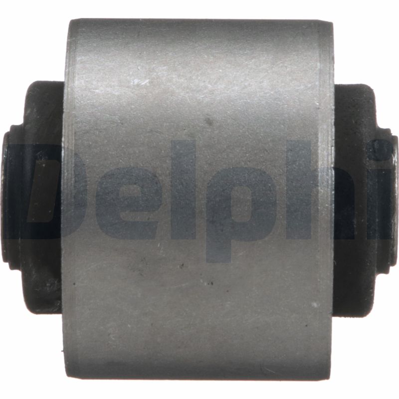 Delphi Diesel Draagarmrubber TD5569W