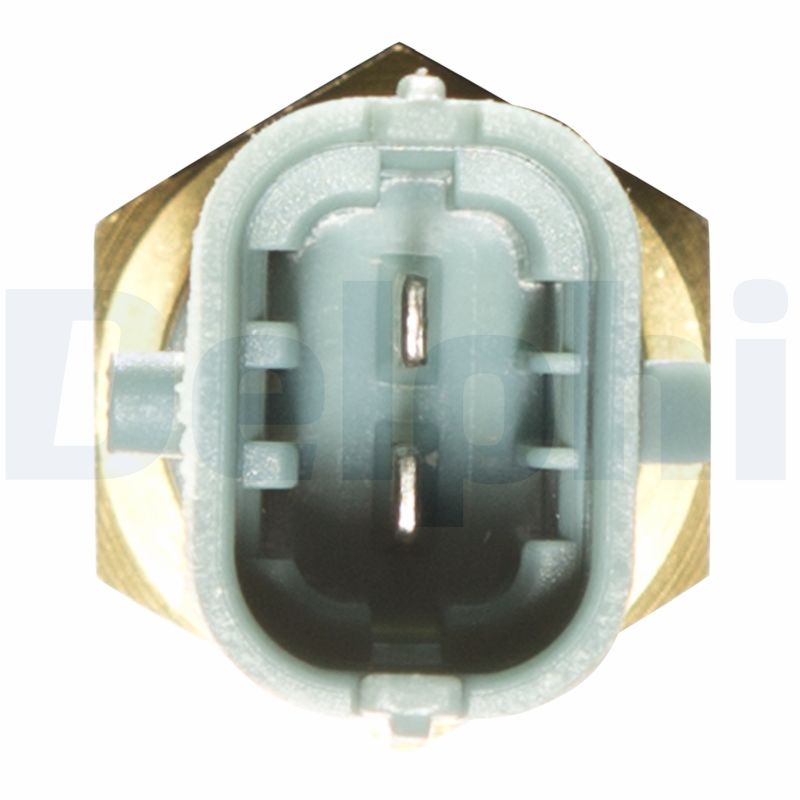 Delphi Diesel Temperatuursensor TS10253