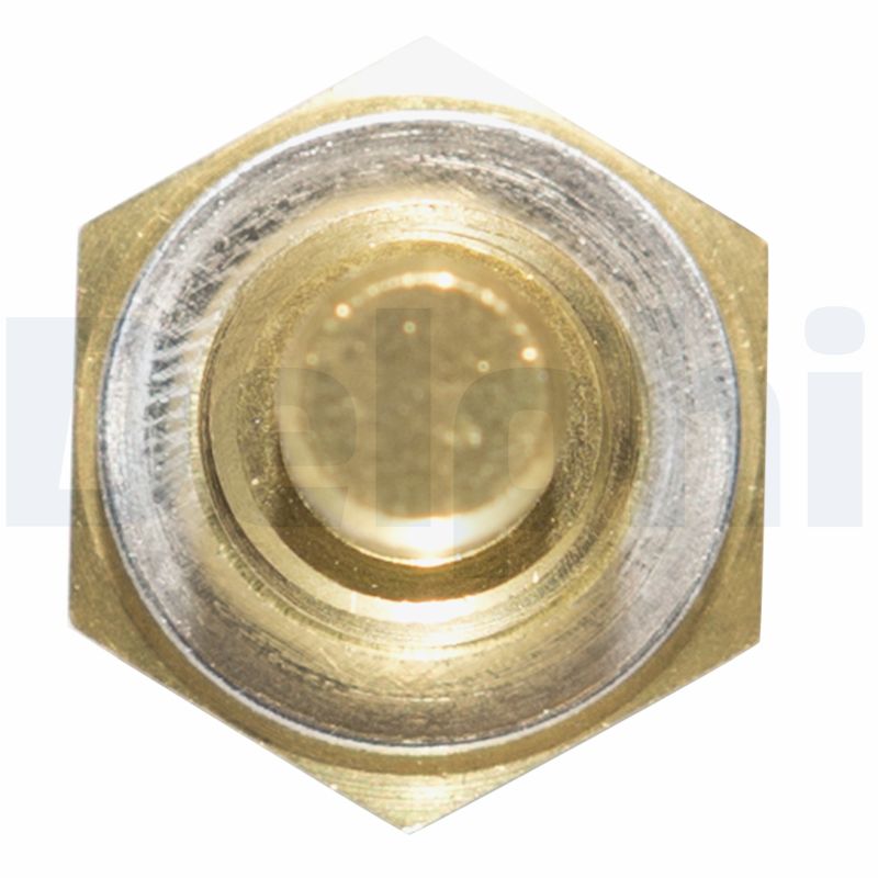 Delphi Diesel Temperatuursensor TS10253