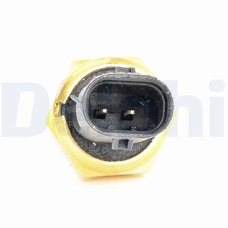 Delphi Diesel Sensor, koelvloeistoftemperatuur TS10629-12B1