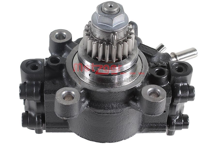 Metzger Hogedrukinspuitpomp 0830155