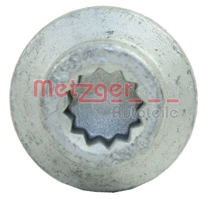 Metzger Schroef 0870099S