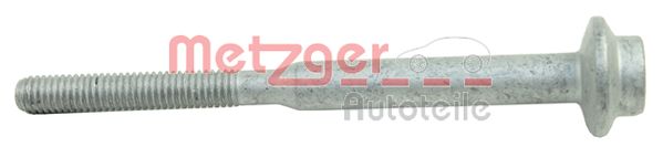 Metzger Schroef 0870099S