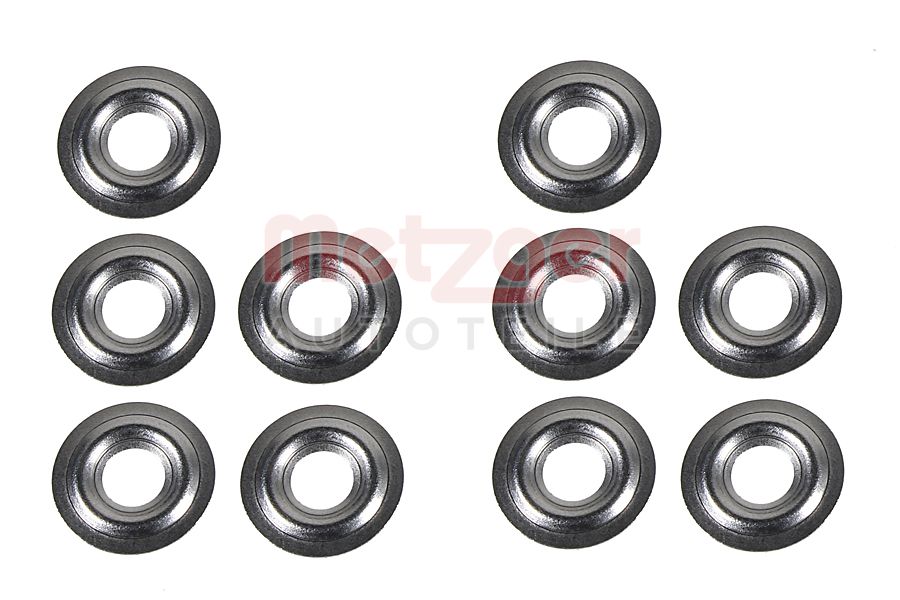 Metzger Brandplaatjes, injectiesysteem 0873079