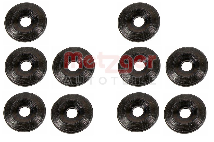 Metzger Brandplaatjes, injectiesysteem 0873080