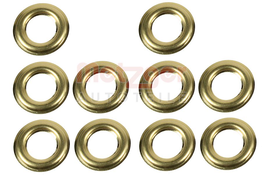 Metzger Brandplaatjes, injectiesysteem 0873088