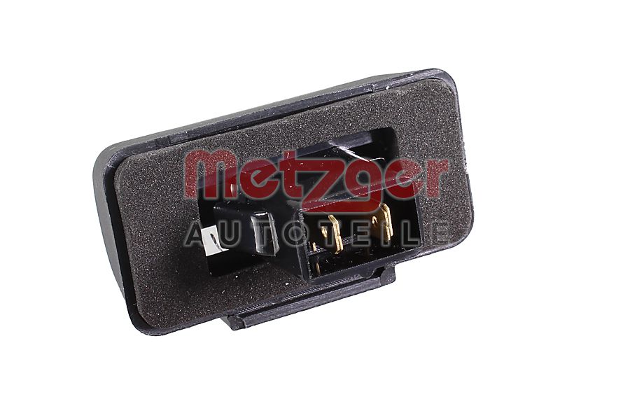 Metzger Kentekenlamp 2080024