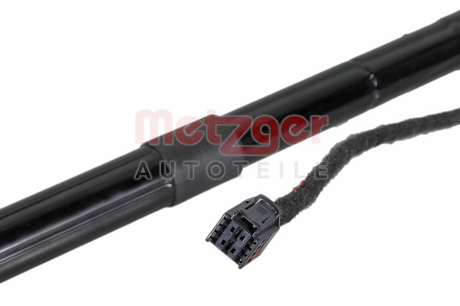 Metzger Elektromotor, achterklep 2115053