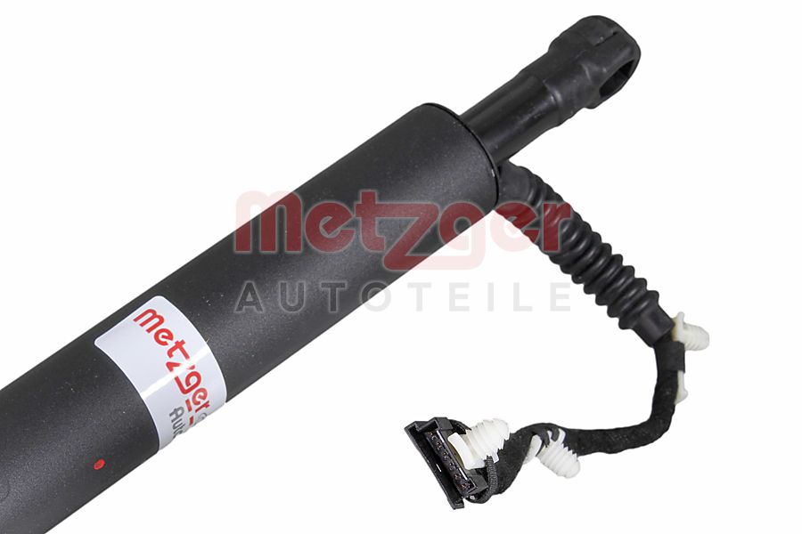 Metzger Elektromotor, achterklep 2115071