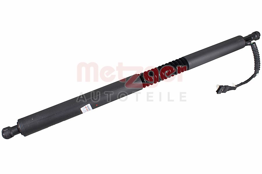 Elektromotor, achterklep Metzger 2115072