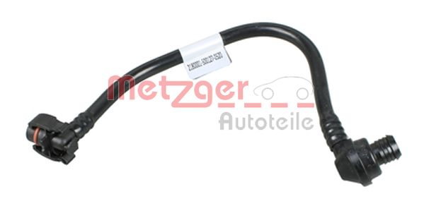 Slangen Metzger 2180001