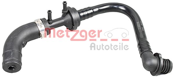 Slangen Metzger 2180010