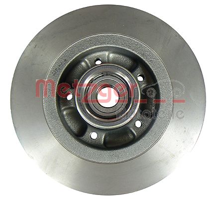 Remschijven Metzger 6110008