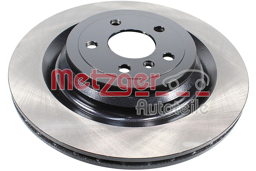 Metzger Remschijven 6110969