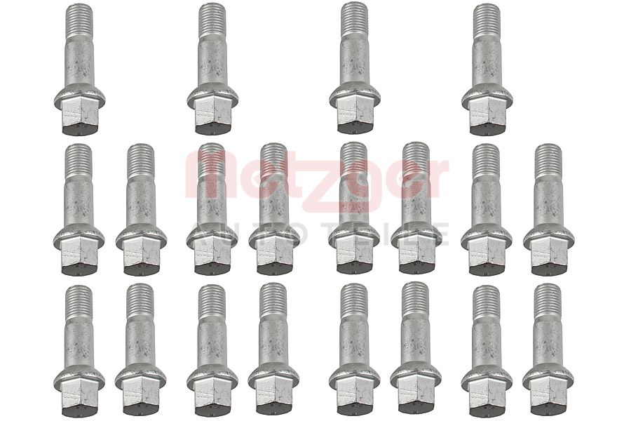 Wielschroef Metzger 6320013