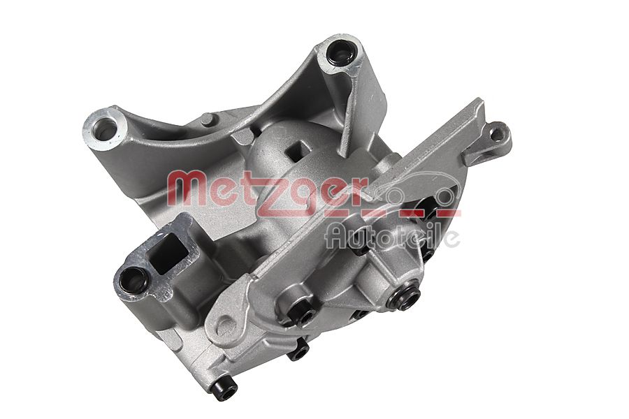 Metzger Oliepomp 8000052