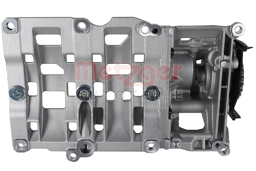 Metzger Vacuumpomp 8000062