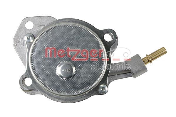 Metzger Vacuumpomp 8010138