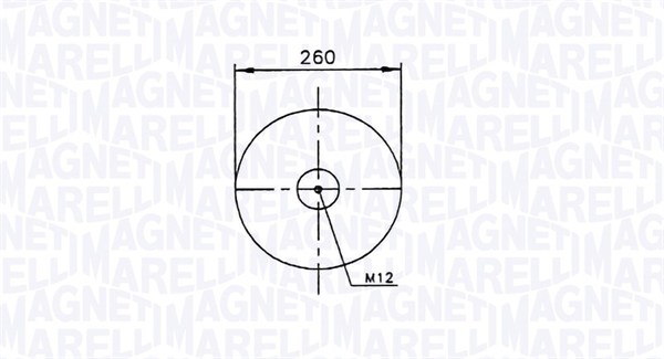 Magneti Marelli Veerbalg 030607020153