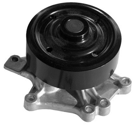 Magneti Marelli Waterpomp 350982012000