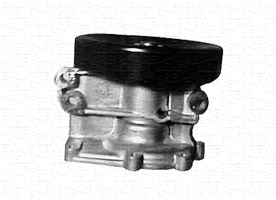 Magneti Marelli Waterpomp 350981764000