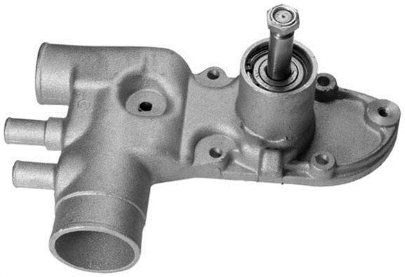Magneti Marelli Waterpomp 350981841000