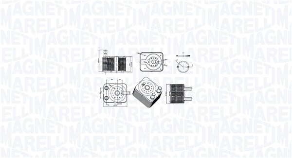 Oliekoeler motorolie Magneti Marelli 350300003100