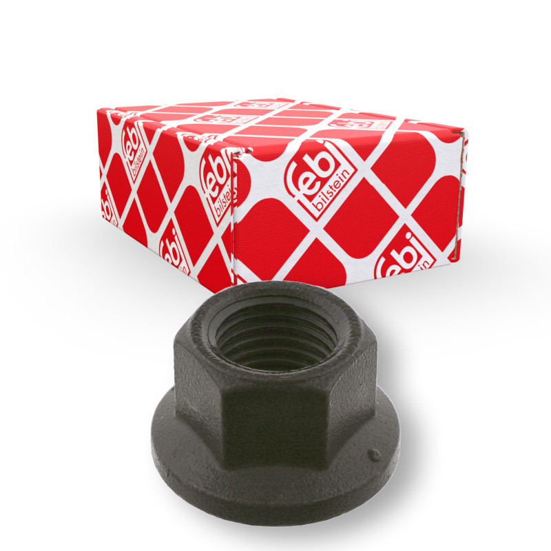 Wielbout/moer Febi Bilstein 01221