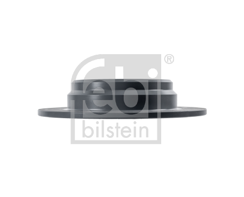 Febi Bilstein Remschijven 12325
