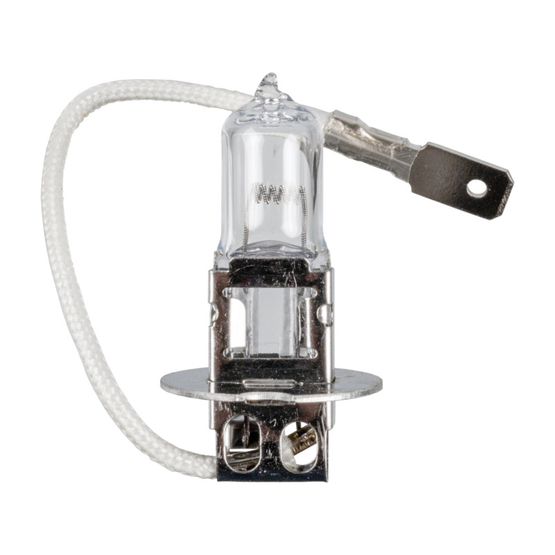 Gloeilamp, mistlamp Febi Bilstein 173276