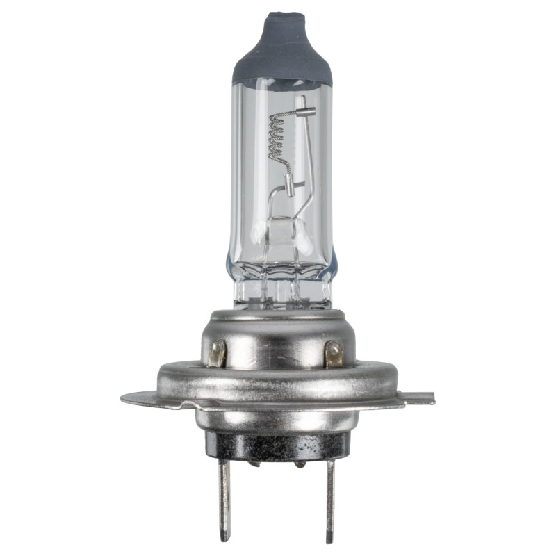 Gloeilamp, koplamp Febi Bilstein 173282