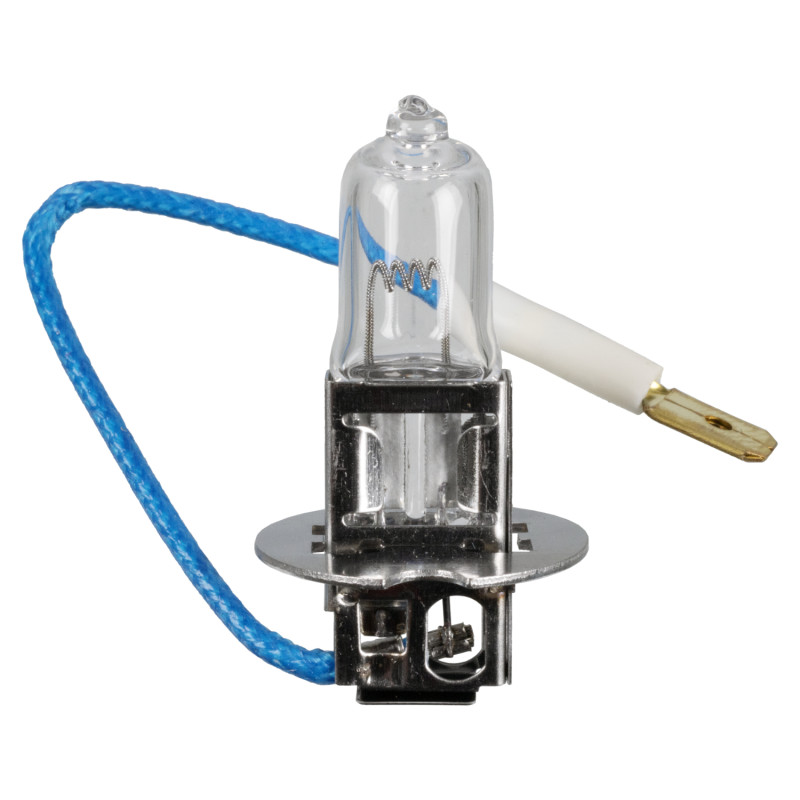 Gloeilamp, mistlamp Febi Bilstein 173284