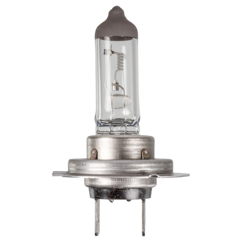 Gloeilamp, koplamp Febi Bilstein 173287