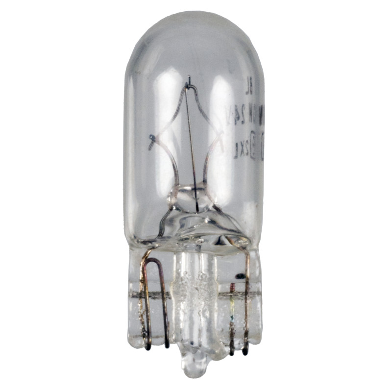 Gloeilamp, kentekenplaatverlichting Febi Bilstein 173306