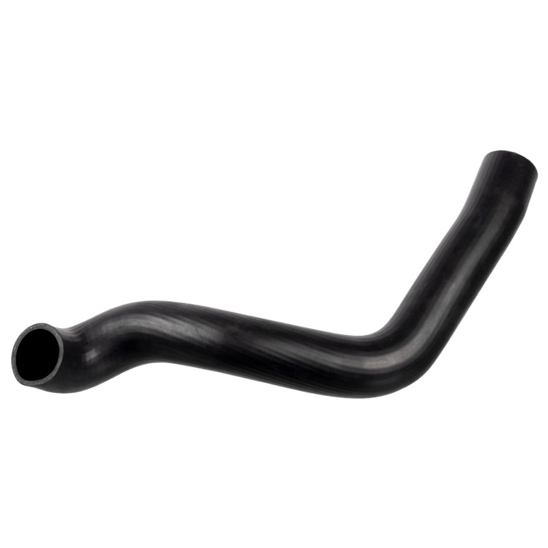 Radiateurslang Febi Bilstein 174432