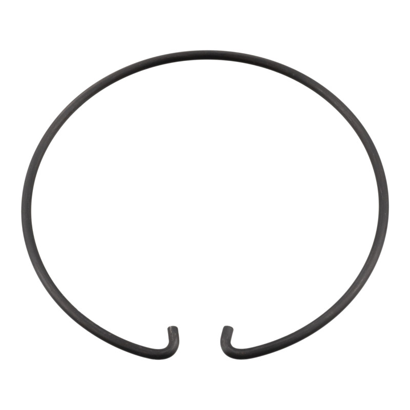 Borgring Febi Bilstein 184879