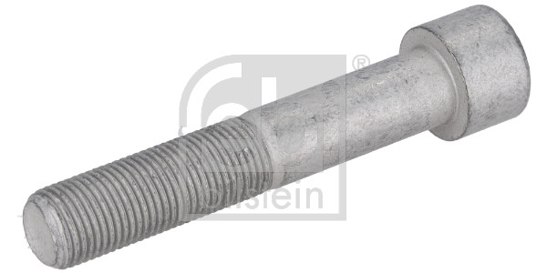 Febi Bilstein Schroef, remschijf 195479