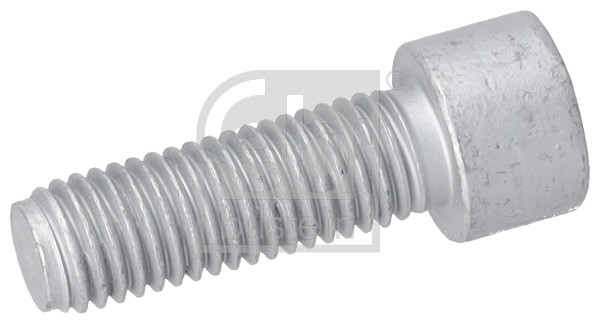 Febi Bilstein Asschroef, aandrijfas / cardanas 196197