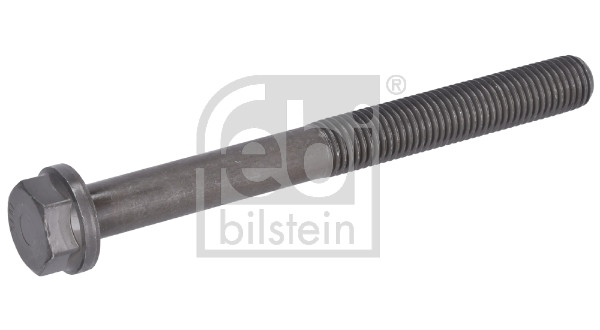 Febi Bilstein Schroef 196355
