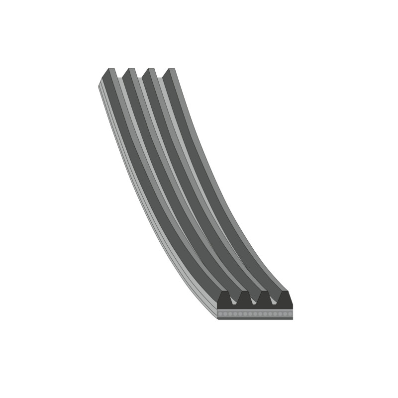 Poly V-riem Febi Bilstein 28813