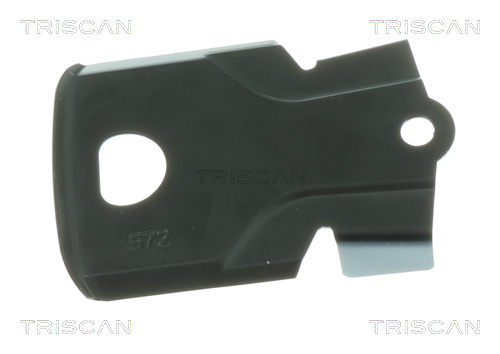 Triscan Dekplaat, remschijf 8125 10103