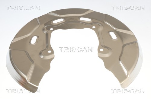Triscan Dekplaat, remschijf 8125 11230