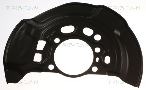 Triscan Dekplaat, remschijf 8125 13124