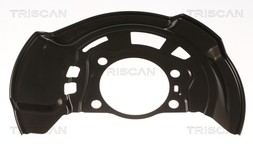 Triscan Dekplaat, remschijf 8125 13131