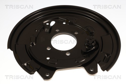 Triscan Dekplaat, remschijf 8125 13221