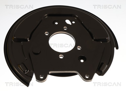 Triscan Dekplaat, remschijf 8125 13221