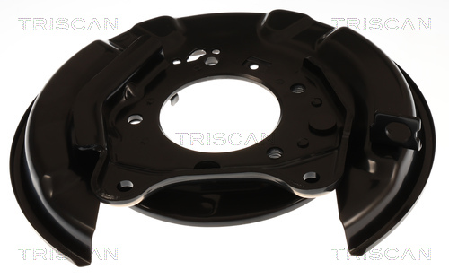 Triscan Dekplaat, remschijf 8125 13234