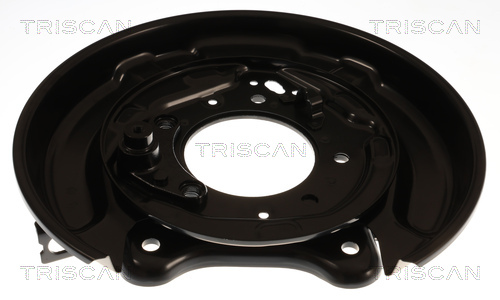 Triscan Dekplaat, remschijf 8125 13234