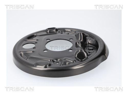 Triscan Dekplaat, remschijf 8125 23231